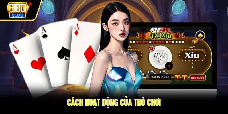Cách hoạt động của trò chơi